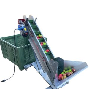 Feucht Obsttechnik Förderband – 1,7m Apfel