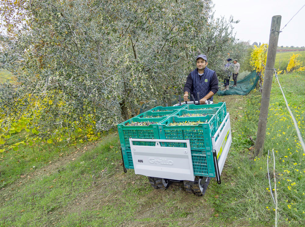 Grillo Raupenkettentransporter DUMPER 406 - Image 11