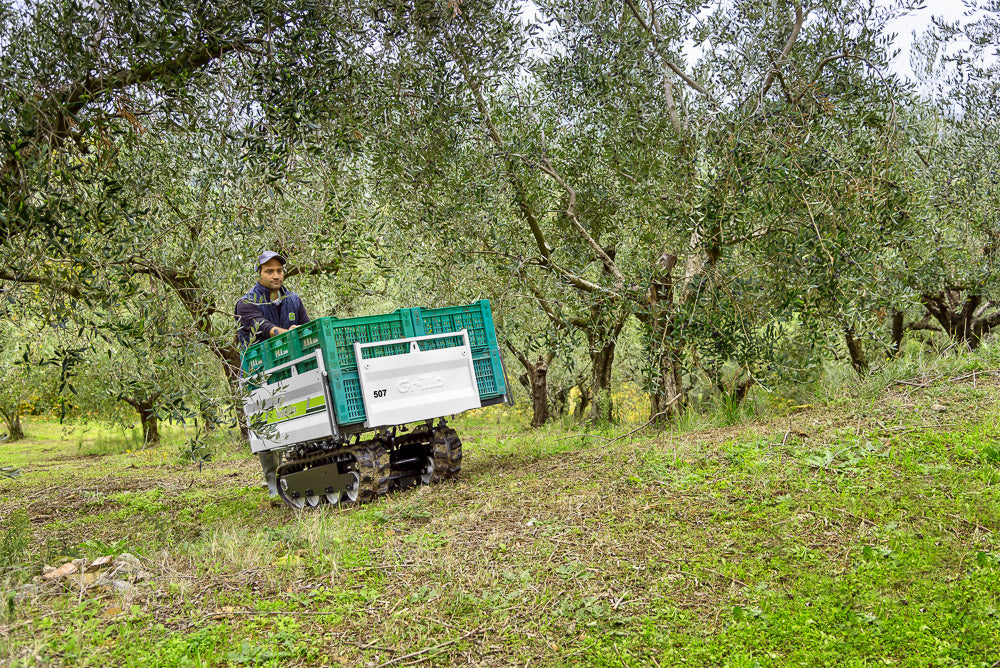 Grillo Raupenkettentransporter DUMPER 507 - Image 11